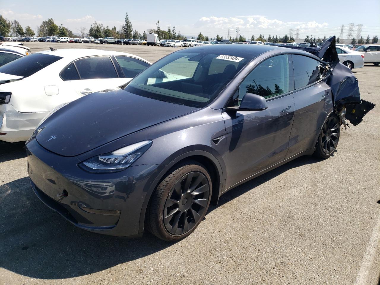 TESLA MODEL Y 2022 7saygdee2nf323469