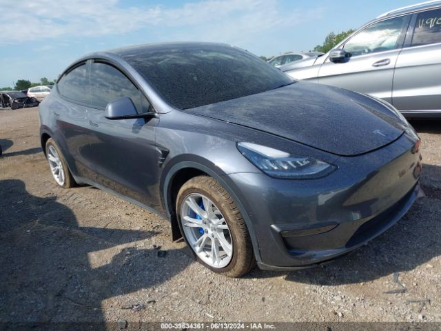 TESLA MODEL Y 2022 7saygdee2nf353507