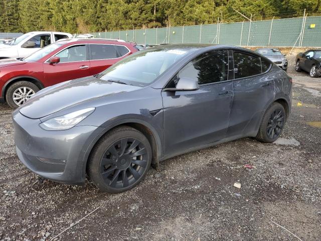 TESLA MODEL Y 2022 7saygdee2nf368475