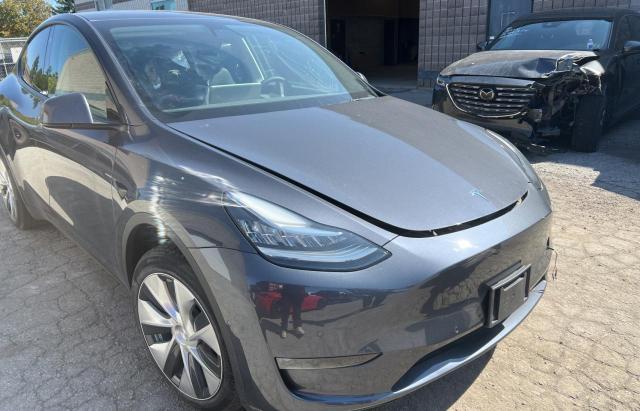 TESLA MODEL Y 2022 7saygdee2nf371439