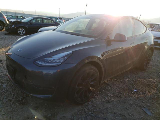 TESLA MODEL Y 2022 7saygdee2nf386894