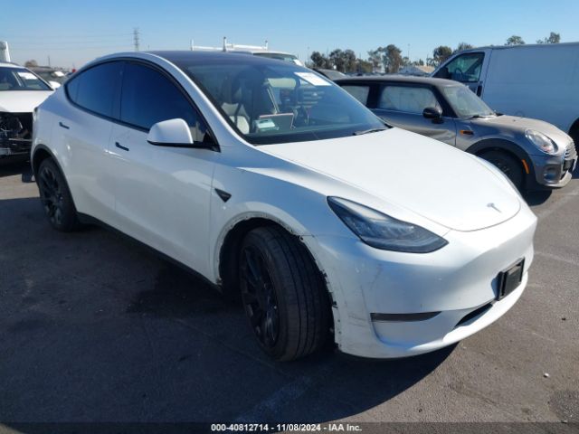 TESLA MODEL Y 2022 7saygdee2nf387091