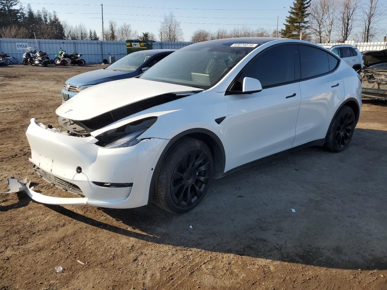 TESLA MODEL Y 2022 7saygdee2nf449671