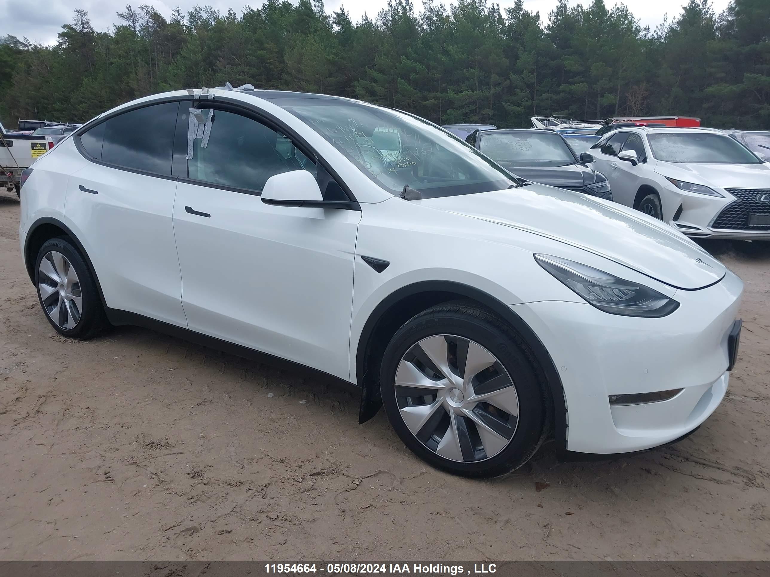 TESLA MODEL Y 2022 7saygdee2nf507049