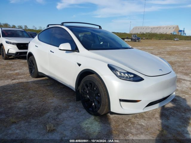 TESLA MODEL Y 2023 7saygdee2pa024869