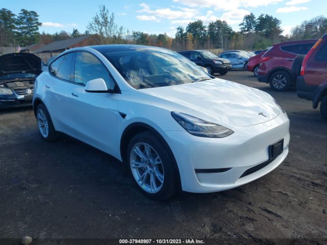 TESLA MODEL Y 2023 7saygdee2pa093531