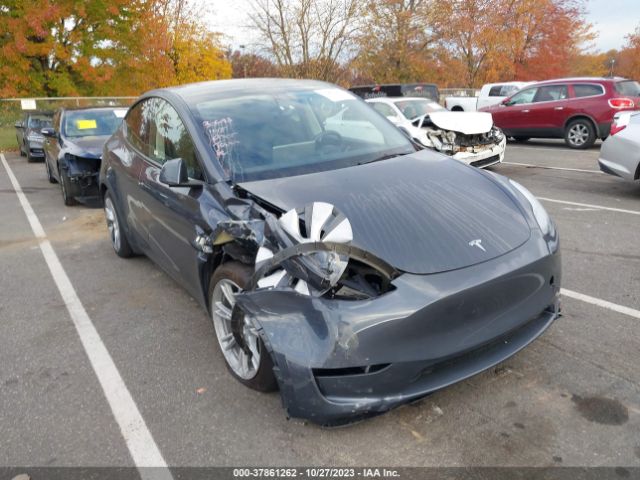 TESLA MODEL Y 2023 7saygdee2pa119190