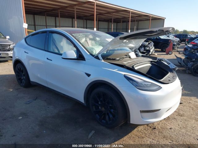 TESLA MODEL Y 2023 7saygdee2pa145417