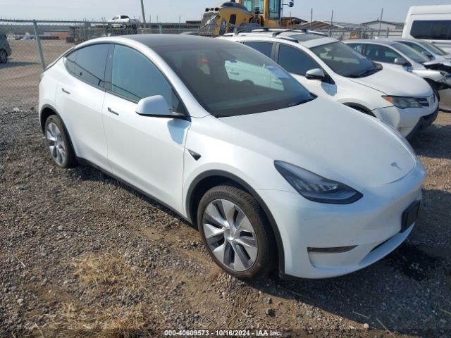 TESLA MODEL Y 2023 7saygdee2pa155705