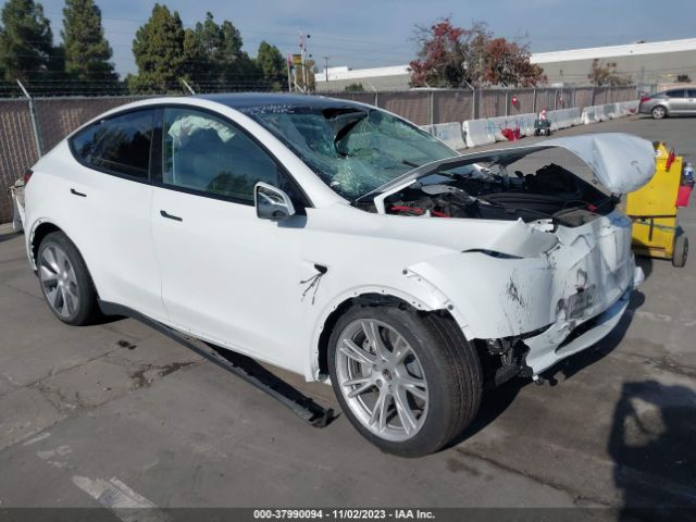 TESLA MODEL Y 2023 7saygdee2pf589366