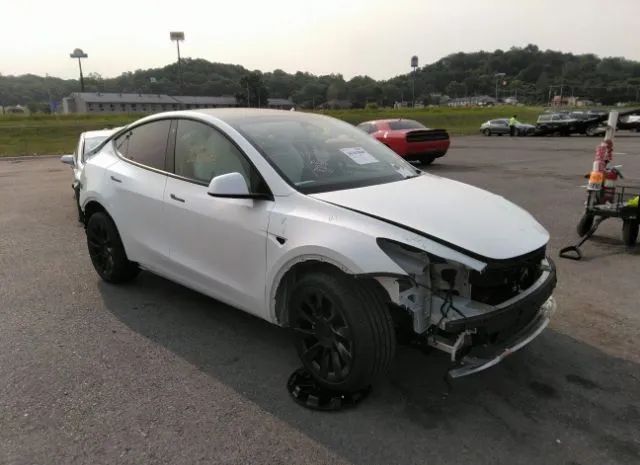 TESLA MODEL Y 2023 7saygdee2pf615366