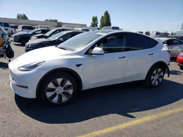 TESLA MODEL Y 2023 7saygdee2pf743963