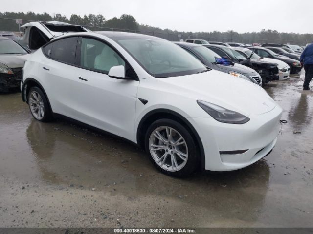 TESLA MODEL Y 2023 7saygdee2pf789020