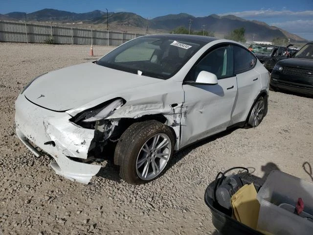 TESLA MODEL Y 2023 7saygdee2pf803935