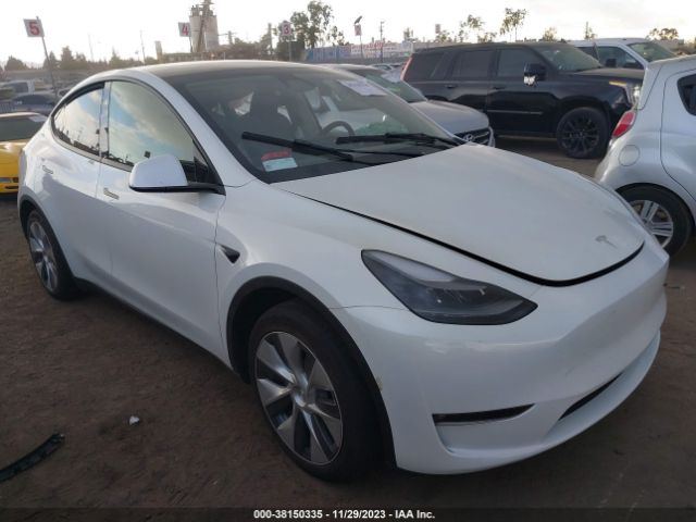 TESLA MODEL Y 2023 7saygdee2pf809962