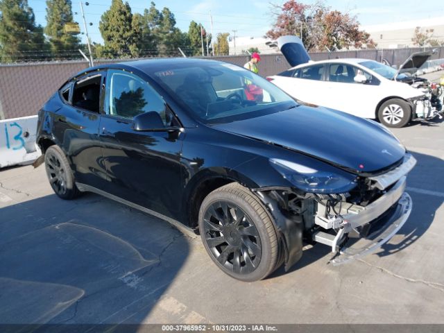 TESLA MODEL Y 2023 7saygdee2pf858028