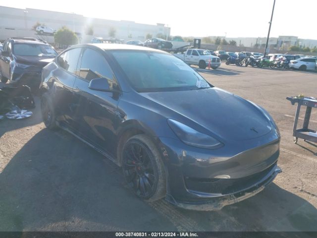 TESLA MODEL Y 2023 7saygdee2pf885360