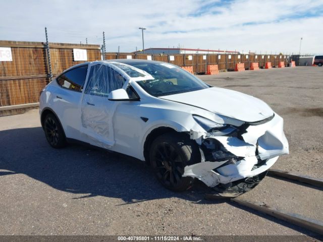 TESLA MODEL Y 2023 7saygdee2pf908183