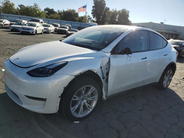 TESLA MODEL Y 2023 7saygdee2pf956640