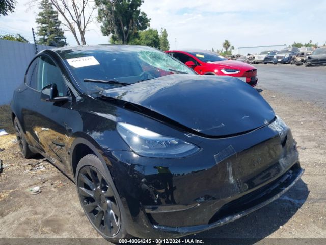 TESLA MODEL Y 2024 7saygdee2ra220524