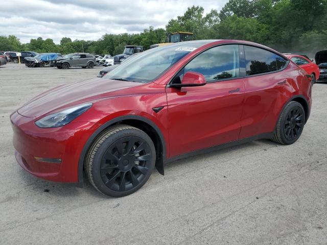 TESLA MODEL Y 2024 7saygdee2ra254950