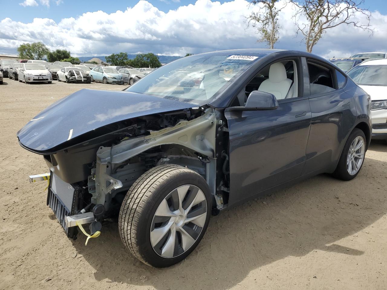 TESLA MODEL Y 2024 7saygdee2rf004031