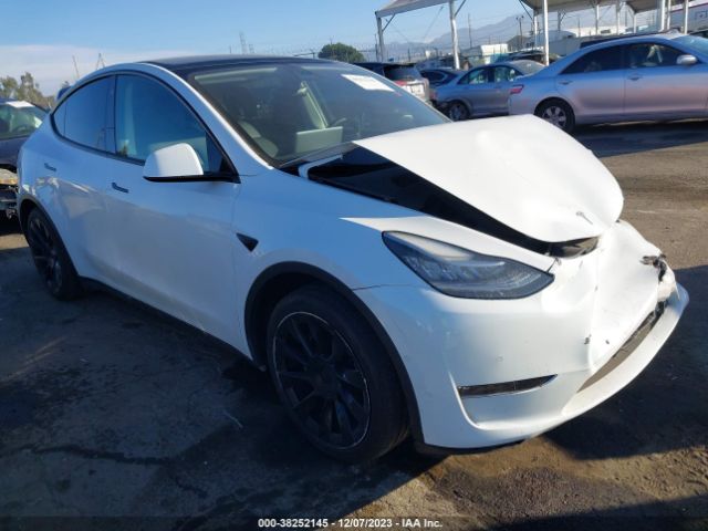 TESLA MODEL Y 2022 7saygdee3nf370168