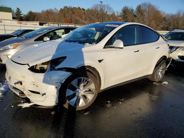 TESLA MODEL Y 2022 7saygdee3nf392283