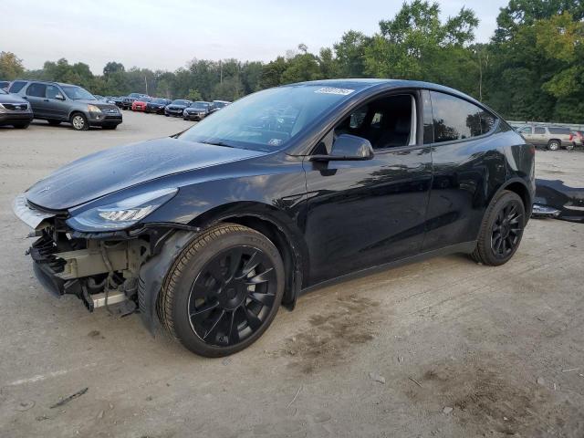 TESLA MODEL Y 2022 7saygdee3nf434564