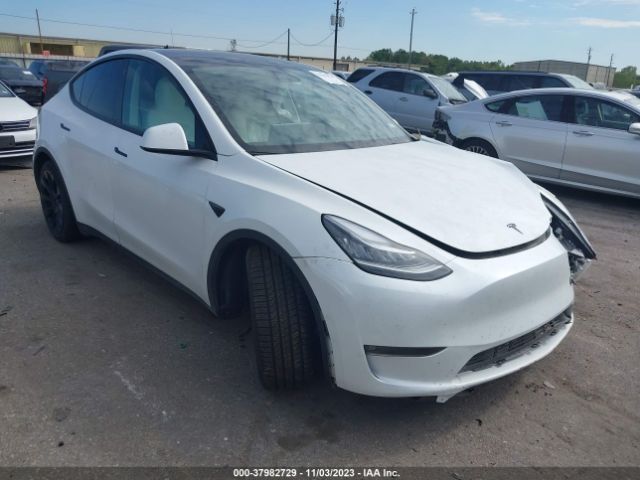 TESLA MODEL Y 2022 7saygdee3nf438405