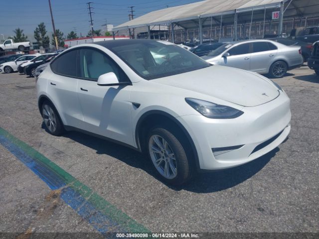 TESLA MODEL Y 2022 7saygdee3nf496661