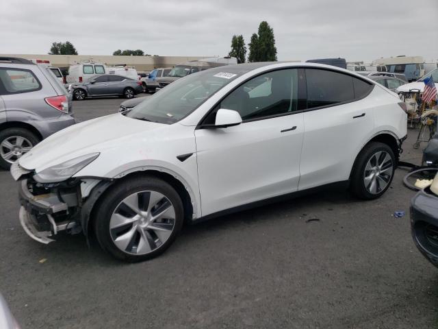 TESLA MODEL Y 2022 7saygdee3nf509716