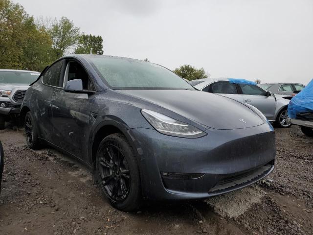 TESLA MODEL Y 2022 7saygdee3nf509814