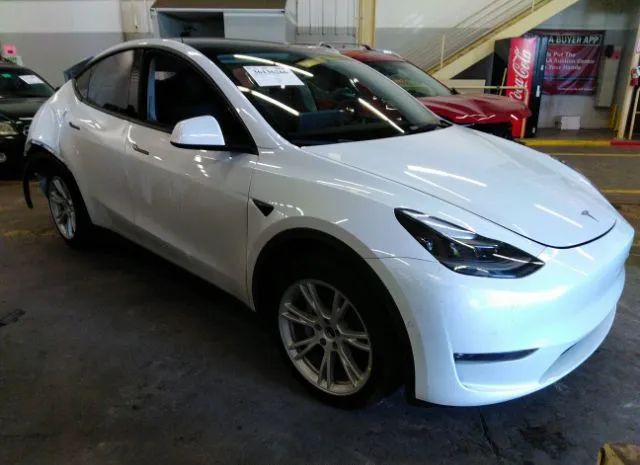 TESLA MODEL Y 2022 7saygdee3nf544062