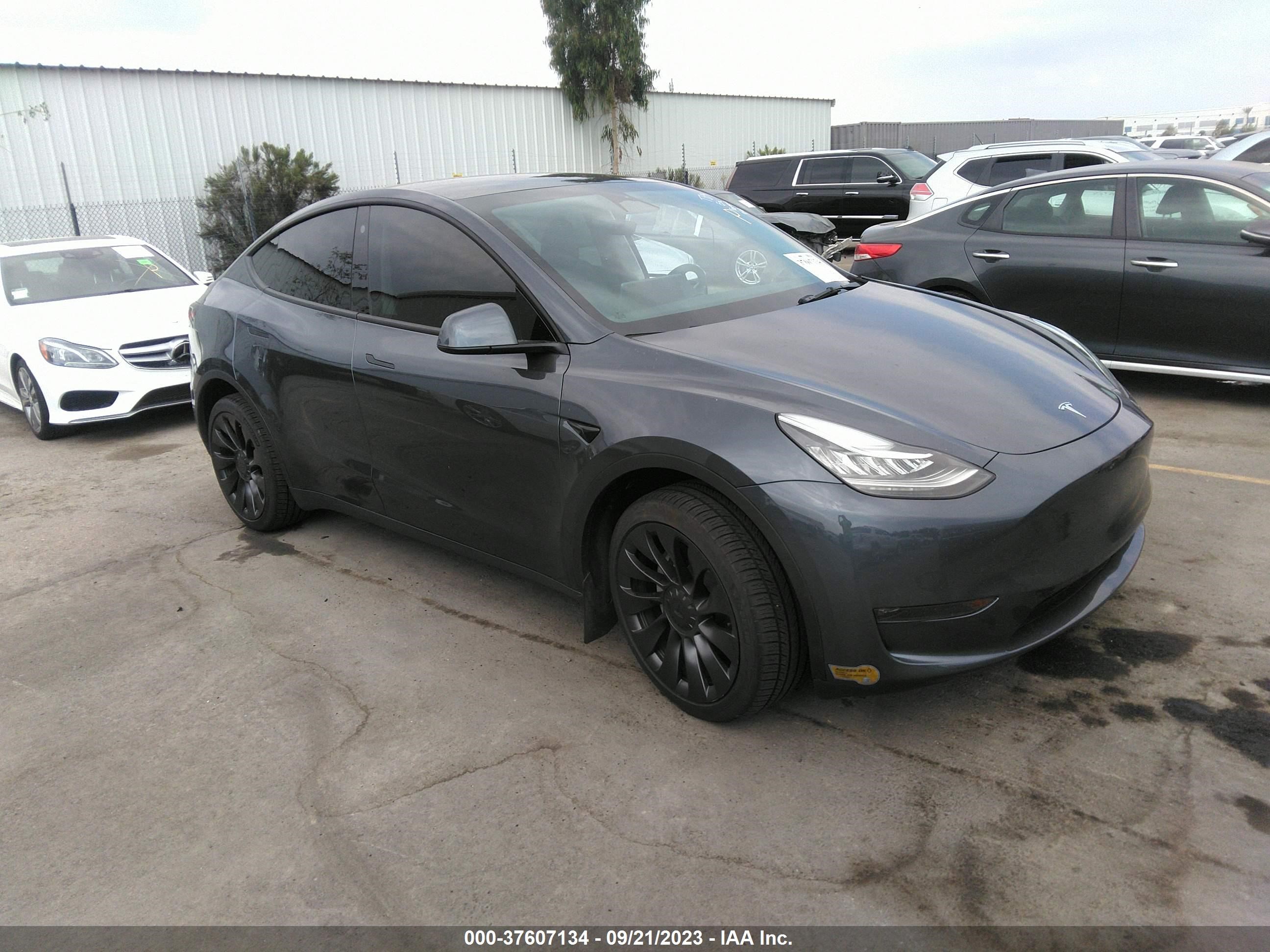 TESLA MODEL Y 2023 7saygdee3pa034228