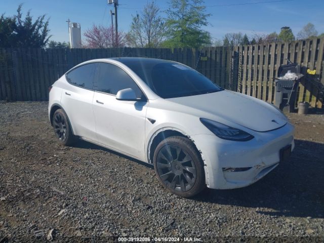 TESLA MODEL Y 2022 7saygdee3pa051000