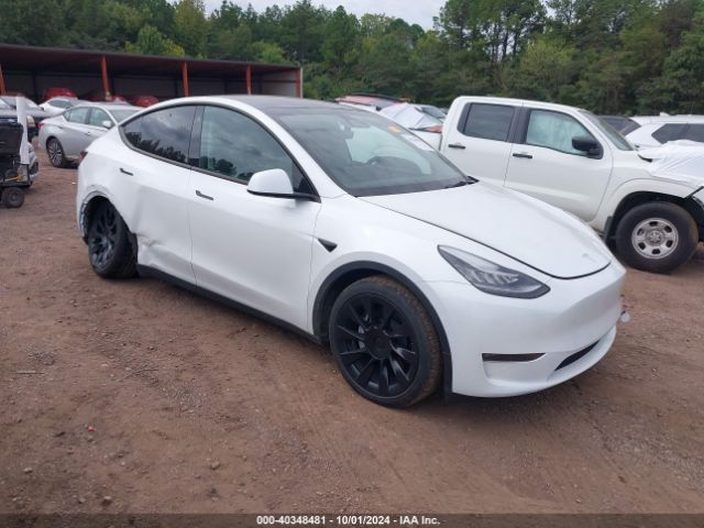 TESLA MODEL Y 2023 7saygdee3pa060182