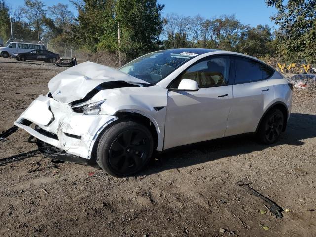 TESLA MODEL Y 2023 7saygdee3pa102575