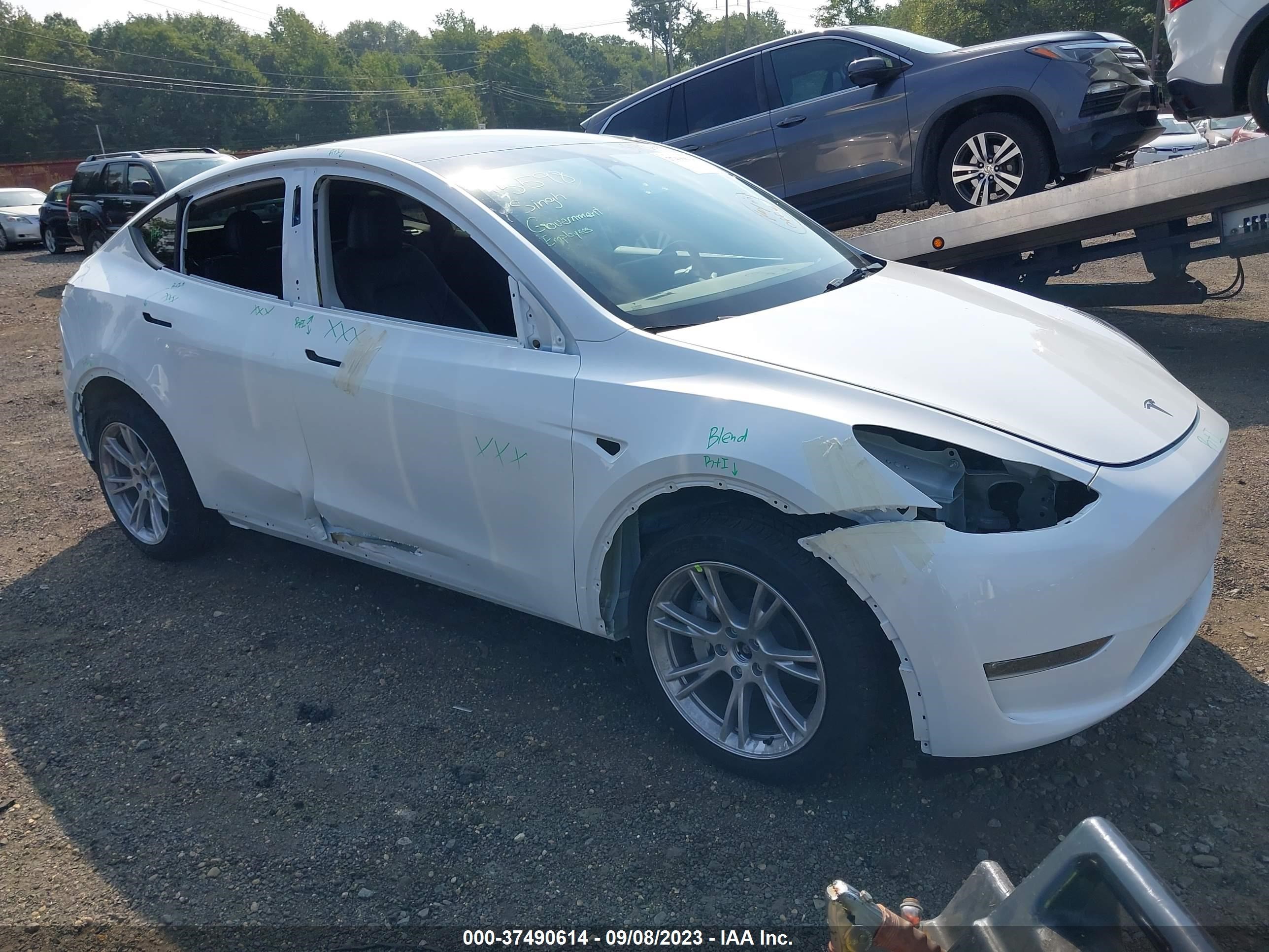 TESLA MODEL Y 2023 7saygdee3pa114080