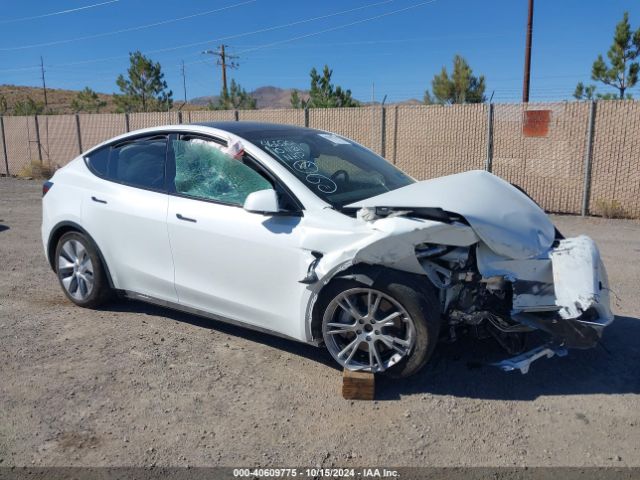 TESLA MODEL Y 2023 7saygdee3pa124284