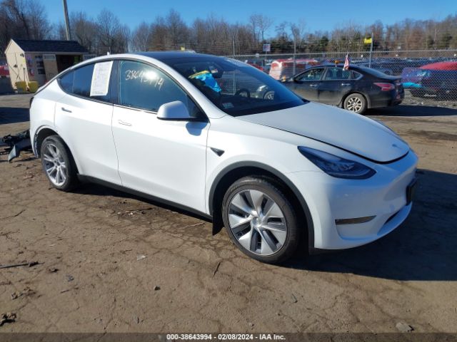 TESLA MODEL Y 2023 7saygdee3pa141814