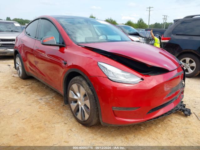 TESLA MODEL Y 2023 7saygdee3pa158807