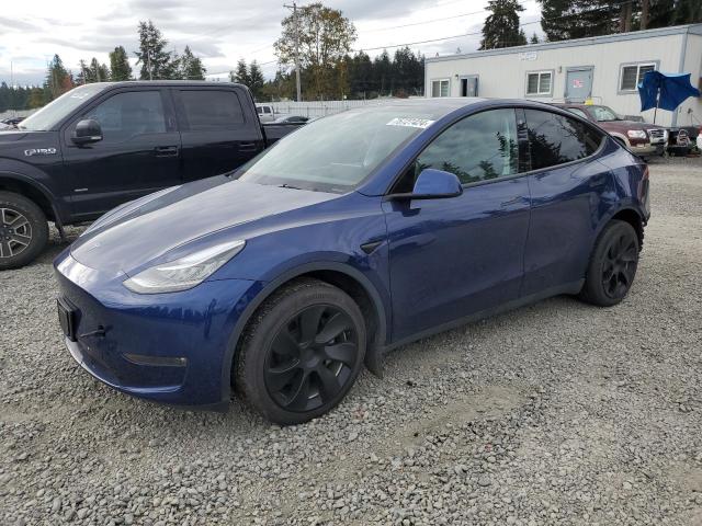 TESLA MODEL Y 2023 7saygdee3pf582278