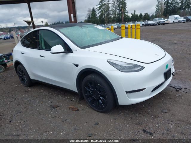 TESLA MODEL Y 2023 7saygdee3pf583768