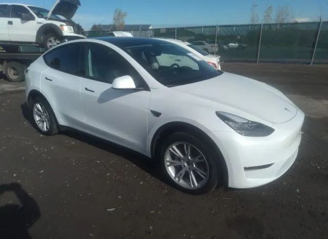 TESLA MODEL Y 2023 7saygdee3pf603758