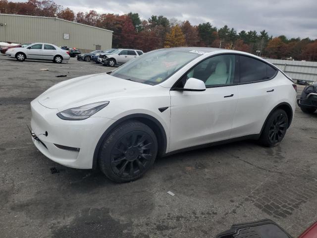 TESLA MODEL Y 2023 7saygdee3pf616171