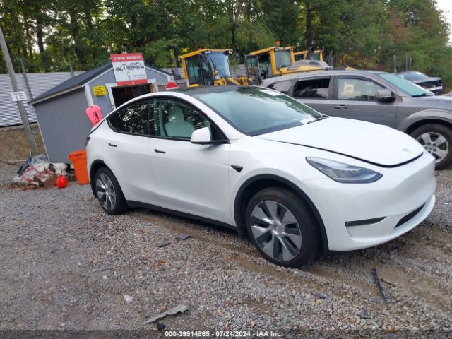 TESLA MODEL Y 2023 7saygdee3pf616896