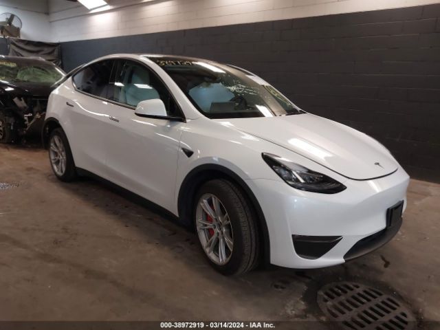 TESLA MODEL Y 2022 7saygdee3pf617613