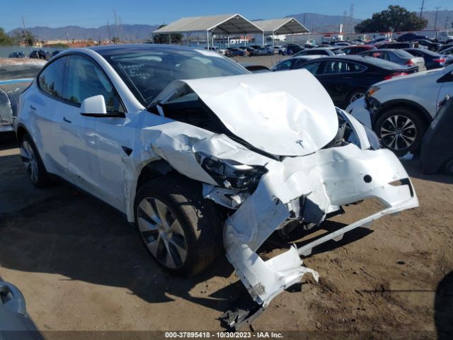 TESLA MODEL Y 2022 7saygdee3pf633326