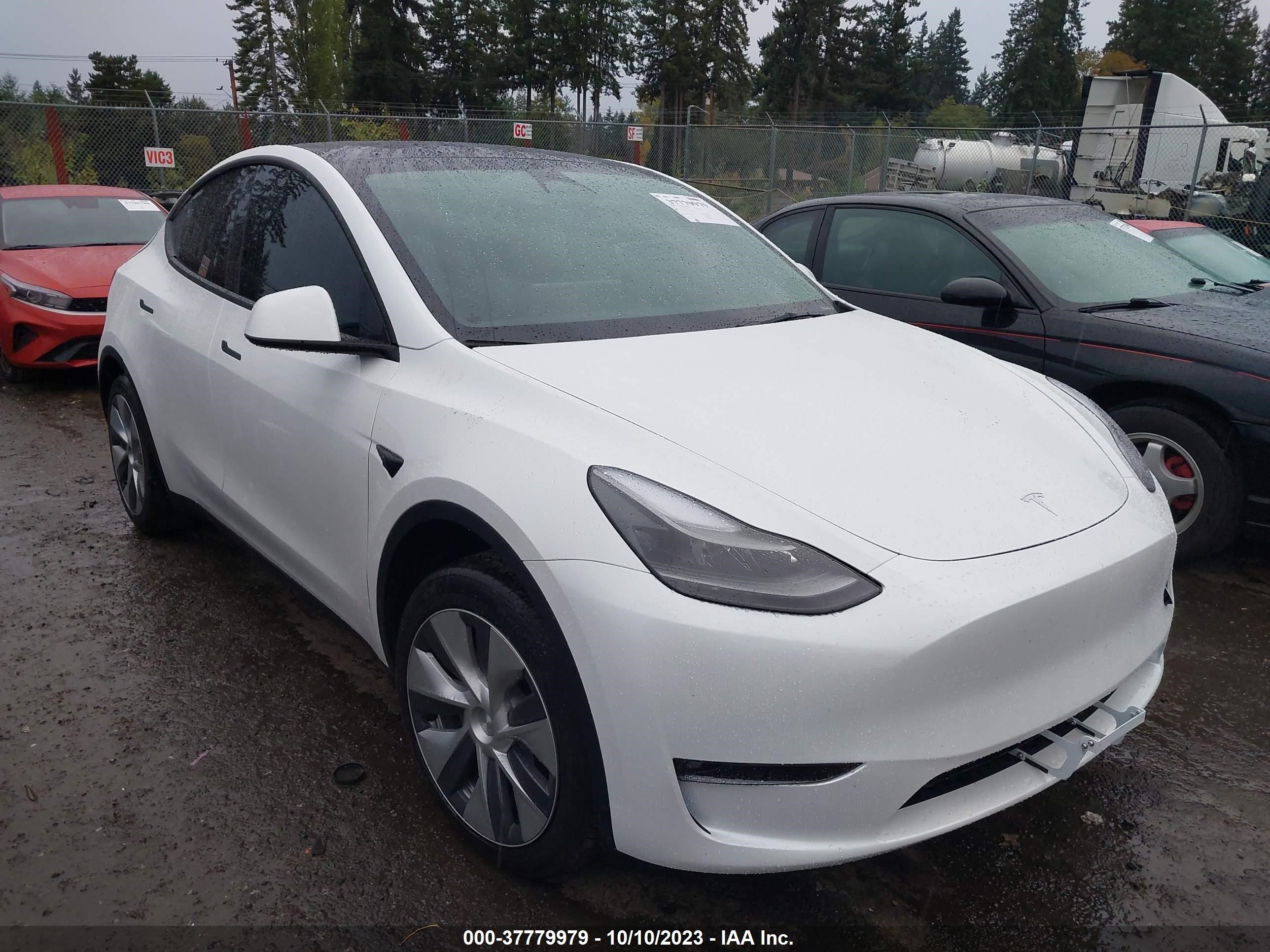 TESLA MODEL Y 2023 7saygdee3pf646724